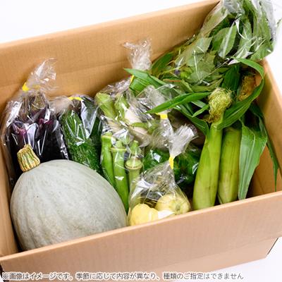 ふるさと納税 函南町 伊豆メディカル農園の健康野菜セット |  | 01