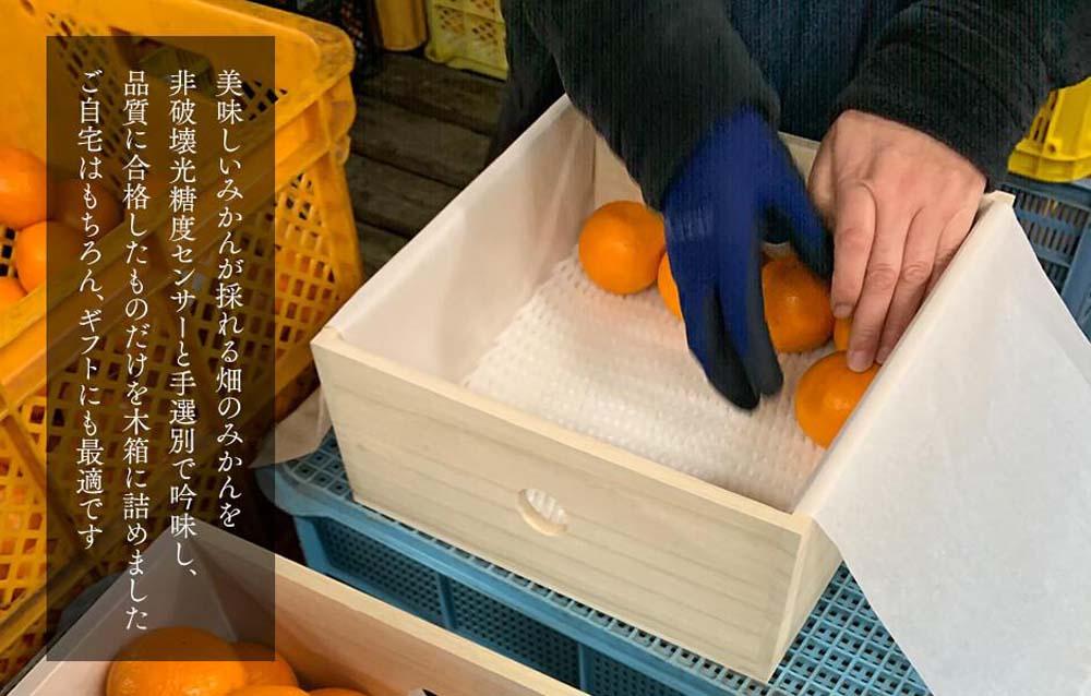 みかん めっちゃうまいんじゃ 木箱入 約5kg（内容量4.3kg） みかんの会厳選 特選品 M S 2S サイズのいずれか 和歌山県産 産地直送 S品 贈答用 　先行予約　［みかんの会］AX192_イ