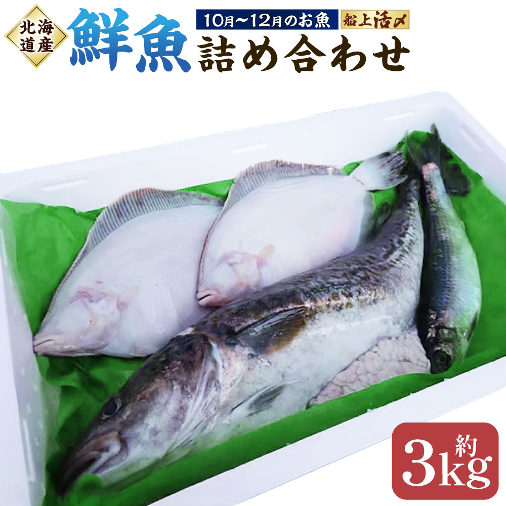 【ふるさと納税】北海道産 船上活〆鮮魚詰め合わせ 約3kg 3～6匹程度 活締め 血抜き処理済み 魚介類 水産物 さかな 魚 詰め合わせ 詰合せ セット 冷蔵 国産 北海道 蘭越町 送料無料 【2026年10月上旬～12月上旬まで発送予定】