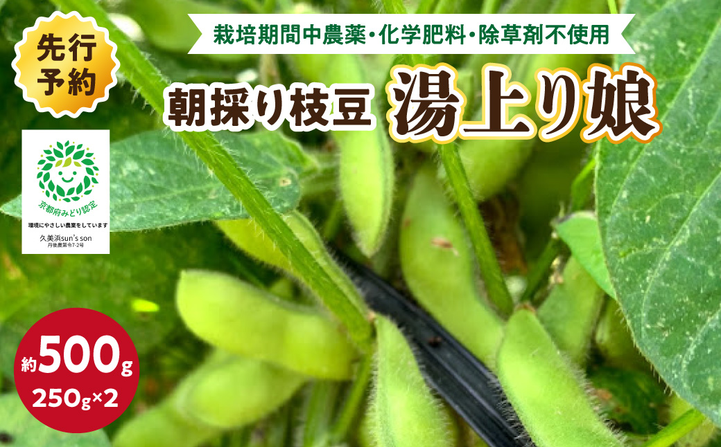 【数量限定】朝採り枝豆（湯上り娘）500g（250g×2パック）（栽培期間中農薬・化学肥料・除草剤不使用）（2027年7月上旬～発送） おつまみ 農家応援 京都産 えだまめ 朝採れ 農家直送　KU00075