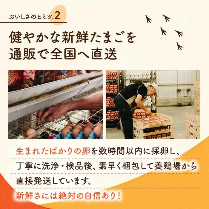【全12回定期便】赤たまご M玉 90個（85個＋5個割れ保証）【株式会社 かもと養鶏】タマゴ 玉子 熊本県 卵 国産 新鮮 あかたまご M玉  濃厚   [ZCA016]