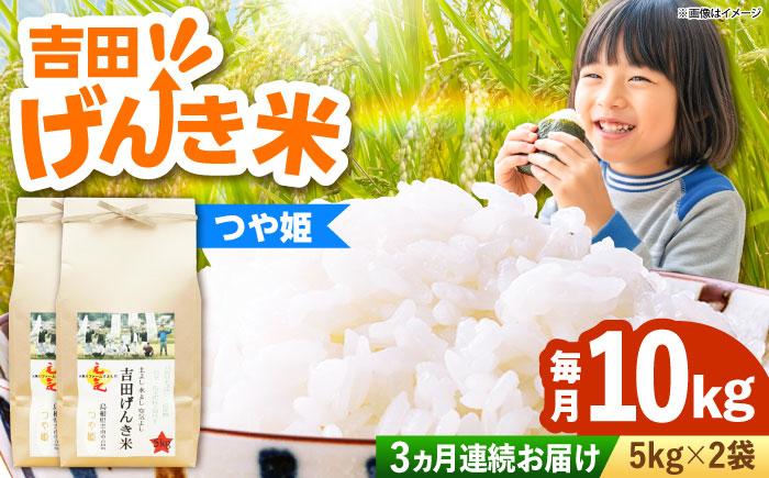 【全3回定期便】吉田げんき米つや姫 10kg（5kg×2袋） [AIDB127]