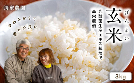 玄米 3kg 特別栽培・農薬不使用 玄米