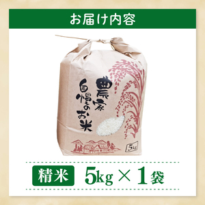 農家のお米～にじのきらめき５kg～【お米 米 コメ こめ こしひかり 北茨城市 茨城県】(DF002)