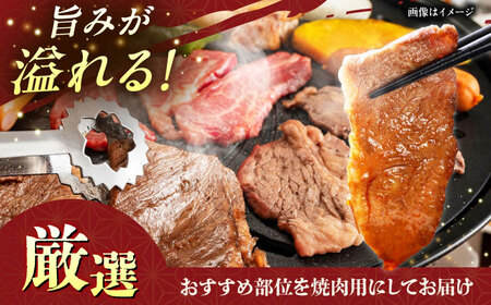 【全12回定期便】【厳選！おすすめ部位】沖縄和牛 佐渡山牛 焼肉用 500g 牛肉 焼肉 焼き肉 和牛 赤身 沖縄市 / 肉のサブロー[BCBC013]