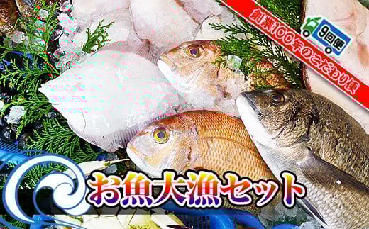 
                  【定期便9回】創業100年の魚屋さんが選び抜いた旨い鮮魚直送便～
                