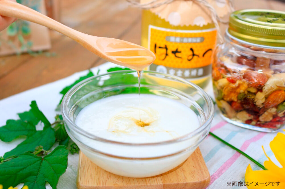 けんぽなしはちみつ 1200g [蜂蜜 はちみつ ハチミツ 国産 純粋 天然 無添加 玄圃梨 けんぽなし 化粧箱 贈り物]