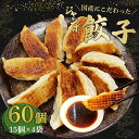 【ふるさと納税】 ジャンボ 餃子 60個 国産 野菜 国産 豚肉 冷凍 餃子 大きめ ぎょうざ ギョウザ ギョーザ おつまみ 冷凍食品 食品 惣菜 中華 惣菜 業務用 おかず ビール 静岡県 藤枝市 藤枝 ふるさと納税餃子 10000円 1万円 一万円