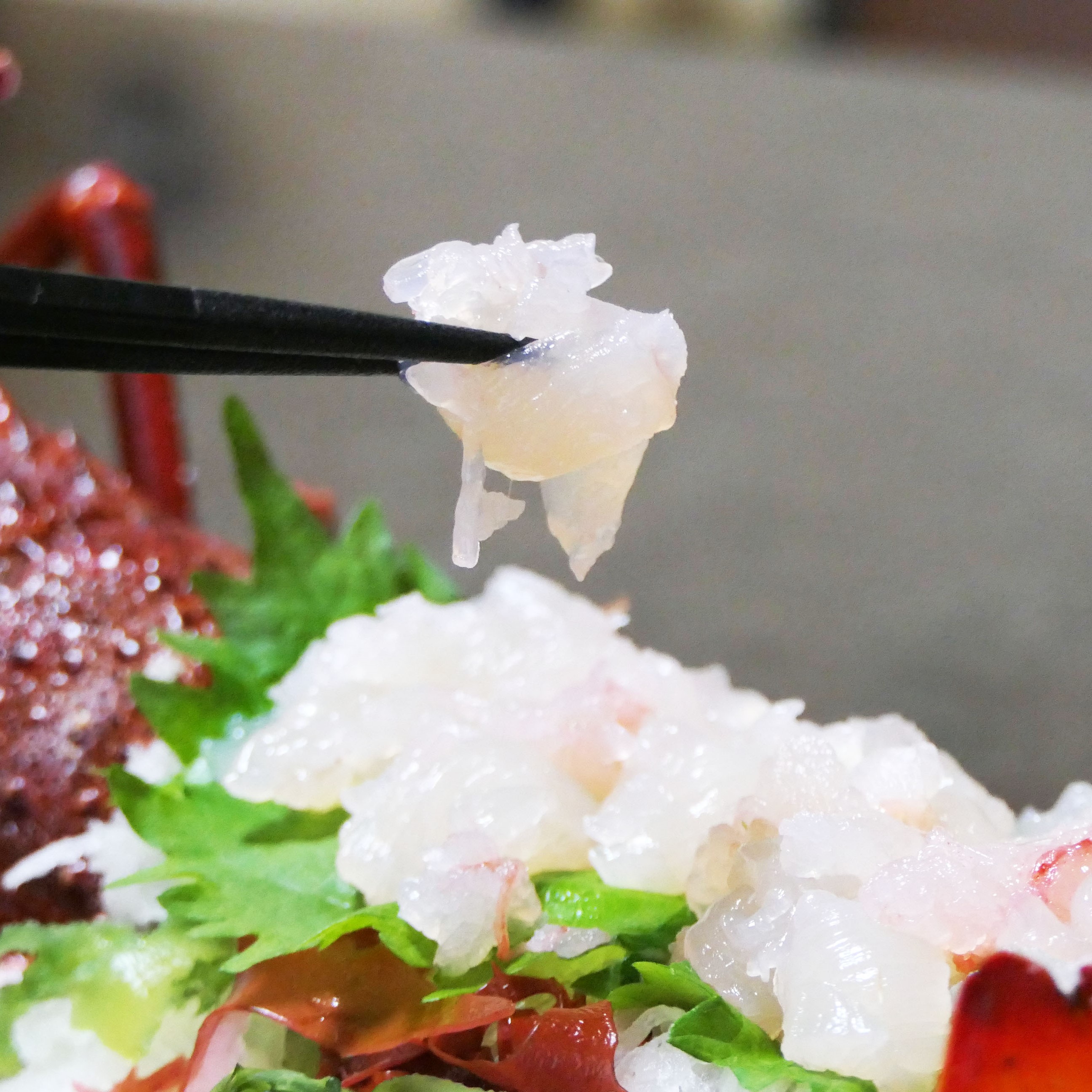 【C47002】【活き〆冷凍】肝付町内之浦産　伊勢海老（えっがね）の刺身〈約850ｇ〉_イメージ5