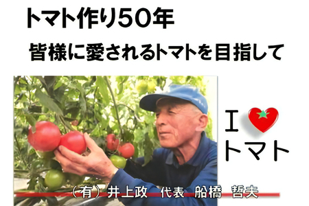 水耕栽培トマト(大玉)【0621】