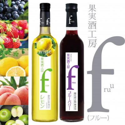 ふるさと納税 甲州市 シャトー勝沼 果実酒工房fruu レモン・ブルーベリー　2本セット　A07-656