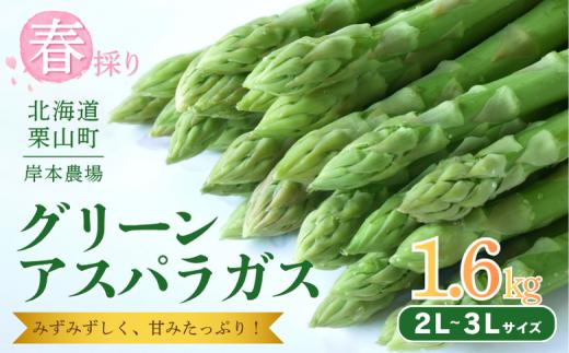【2027年度産 先行予約】極太 北海道産 春採りグリーンアスパラガス 約1.6kg 3L～2L 岸本農場　YH036