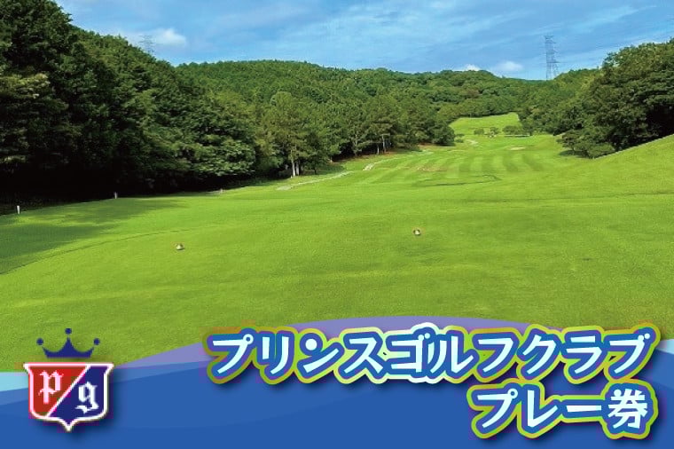 
            プリンスゴルフクラブ 利用券 【ゴルフ ゴルフ場 プレー 利用券 福岡 宮若】 M822-050
          