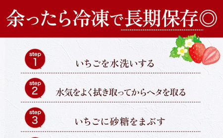 福岡県産 あまおう 1000g 送料無料 いちご 果物 フルーツ ギフト 季節限定 スイーツ ケーキ ブランド 先行予約 2025年1月より順次発送 TY052-1