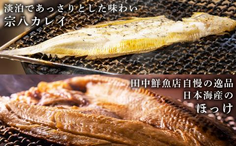 田中鮮魚店　黒松内ＢＢＱセット