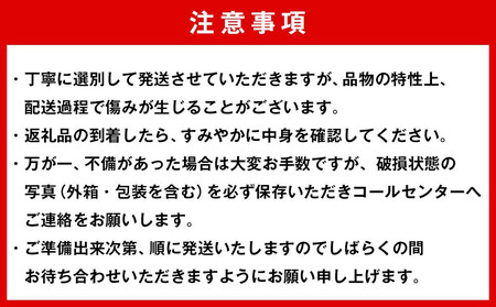 有田みかん 早生みかん 秀品または優品 約3kg S～2Lサイズ混合 としみ農園
