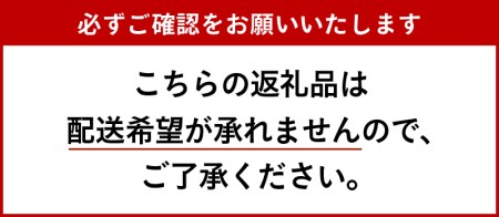 伊勢擬革紙 めがねケース
