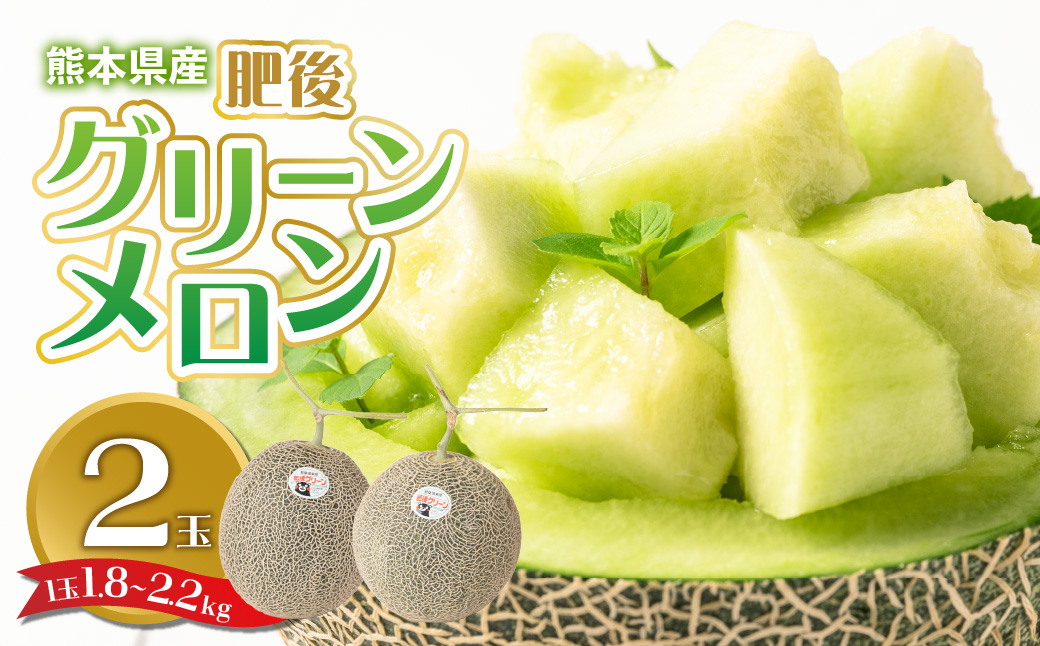 【先行予約】 熊本県産 肥後グリーンメロン 2玉 (1玉1.8kg～2.2kg) メロン 果物 フルーツ 【2025年6月上旬より順次発送】