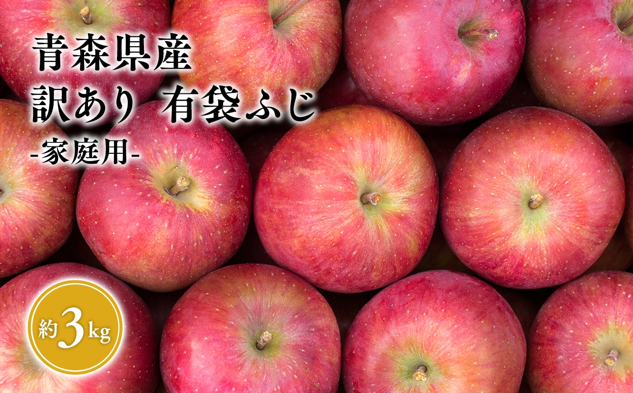 6月発送【訳あり】家庭用有袋ふじ約3kg クール便【原田青果】りんご 林檎 リンゴ 果物 くだもの フルーツ 不揃い 規格外