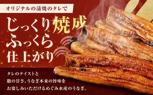 めぐみうなぎ 蒲焼き 3尾 セット うなぎ 鰻 ウナギ 魚類 うな重 うな丼 晩ごはん 惣菜 おかず 贅沢 冷凍 国産 大阪府産 養殖 無投薬