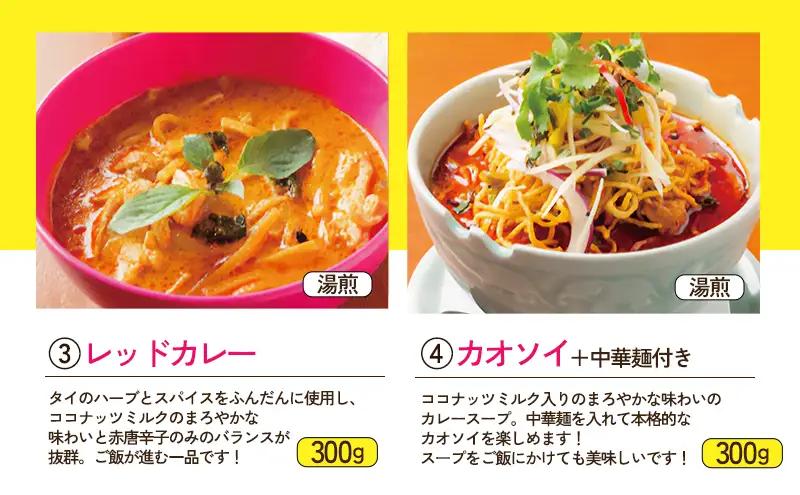 【ふるなびWEEK対象】カレー タイカレーセット グリーンカレー タレーパッポンカリー レッドカレー カオソイ ジャスミンライス 本場 大田区 東京都FN-Limited