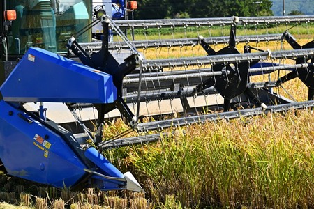 北海道奈井江町　ゆめぴりか　玄米　30kg