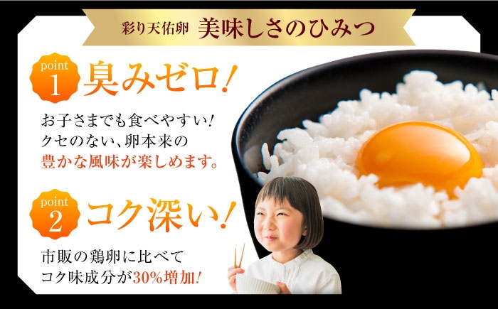 たまご 卵 放牧卵 平飼い卵 国産卵 タマゴ 玉子 鶏卵 卵黄 月2 卵ストック