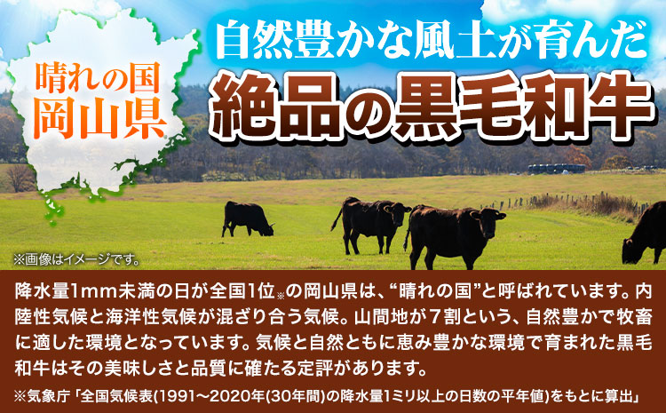 牛肉 肉 黒毛和牛 切り落とし 訳あり 大容量 小分け【定期便】 2kg 1パック 250g 3回 《お申込月の翌月より発送》岡山県産 岡山県 笠岡市 お肉 にく カレー 牛丼 切り落し 切落し 黒毛