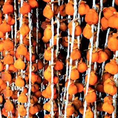 干し柿（紅柿）８個×４パック　0108-2604