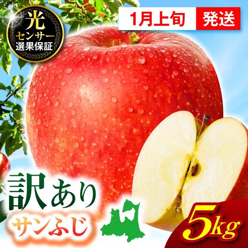 【2027年1月上旬発送】【訳あり】 りんご 約5kg サンふじ 青森 家庭用 りんご