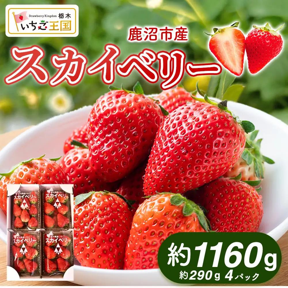 【先行予約】いちご スカイベリー 出会いの森いちご園 （290g×4パック） ※2026年12月～発送