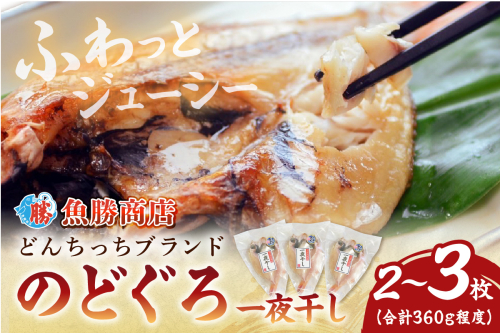 【どんちっちブランド】のどぐろ一夜干し（150g～200gｘ2～3枚） のどぐろ ノドグロ 一夜干し ひもの どんちっち 産地直送 山陰浜田 【136_2005】