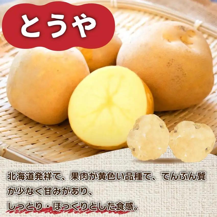 ＜先行予約＞北海道産 じゃがいも(とうや) 約5kg【55250843】
