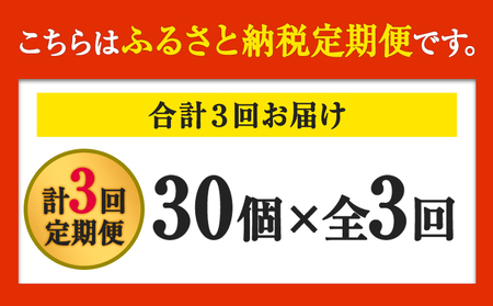 【定期便】計3回お届け 朝獲れ卵 味宝卵30個×3回お届け 卵 Lサイズ：鶏卵 《お申込み月の翌月より出荷開始》---iskr_ngmmhrtei_23_23300_mo3num1---