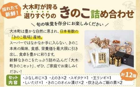 大木町きのこ食べつくしセット　【AZ03】