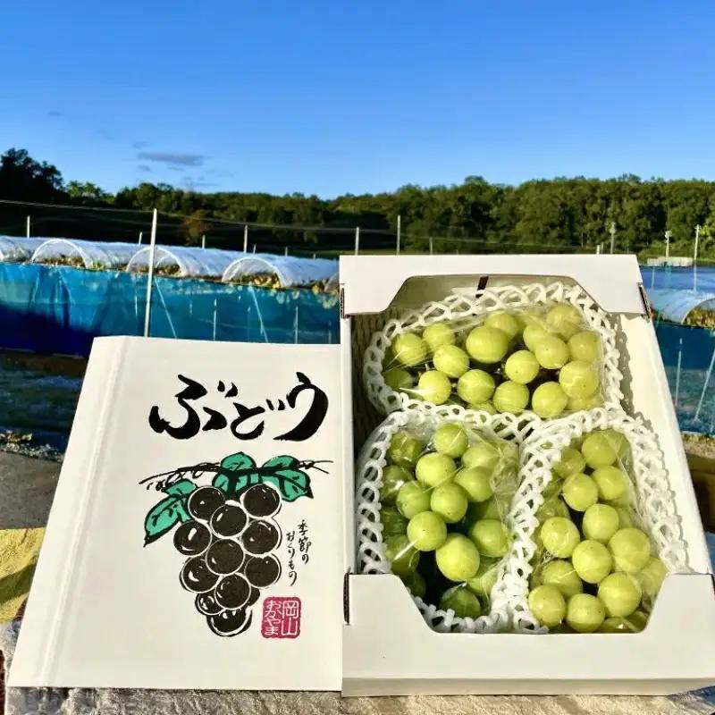 訳あり シャインマスカット 岡山県産ぶどう 訳ありシャインマスカット約1㎏【nisfarm019-01】