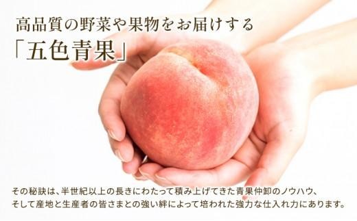 【先行予約】 桃 約3.7kg 飯南の桃 フルーツ 果物 果実 モモ プレゼント ギフト スイーツ デザート ケーキ ジュース ゼリー アイス シャーベット ジャム ふるさと納税桃 ふるさと納税モモ 