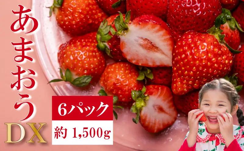 【2027年2月上旬‐3月上旬発送】先行予約 福岡県産 いちご あまおう  約250g×6P (約1500g) ｜苺 イチゴ KBY