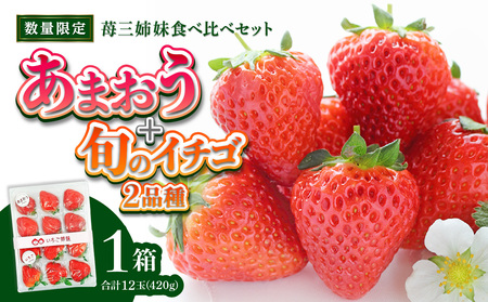 ＜2025年発送＞苺三姉妹【あまおう＋旬のイチゴ2品種】食べ比べセット★数量限定★ 090-004