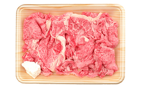 A4等級以上 飛騨牛 焼肉 切り落とし 250g × 4 計 1kg 牛肉 ブランド牛 肉 切落し わけあり ぎゅうにく にく ひだぎゅう ひだうし 訳あり 商品 ワケアリ 不揃い 大容量 切り落とし