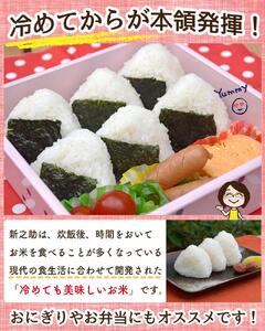 佐渡島産 新之助 白米25kg(5kg×5袋）令和7年産 【食の宝島佐渡】