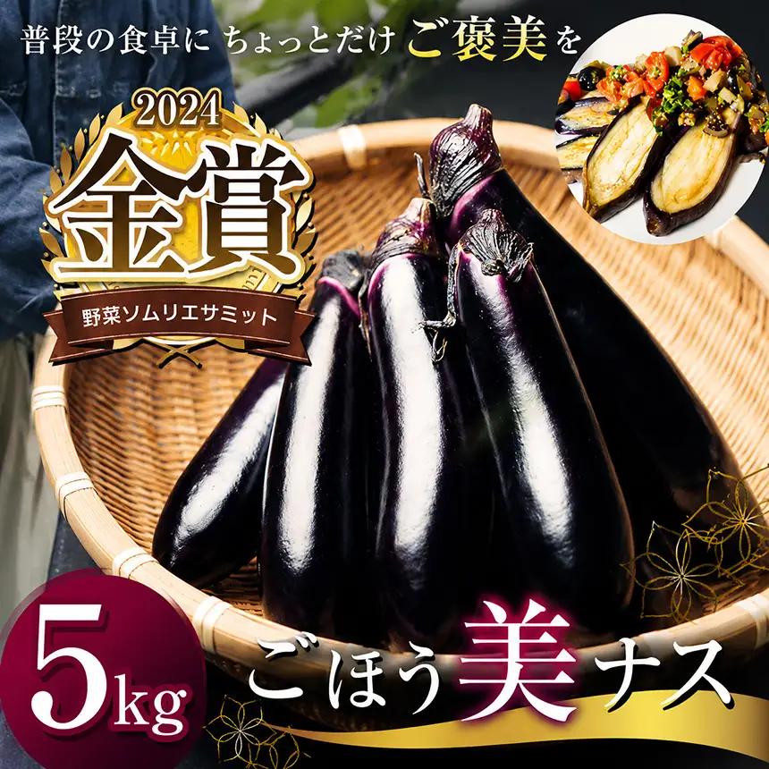 ソムリサミット金賞「ごほう美 ナス 」約5kg
