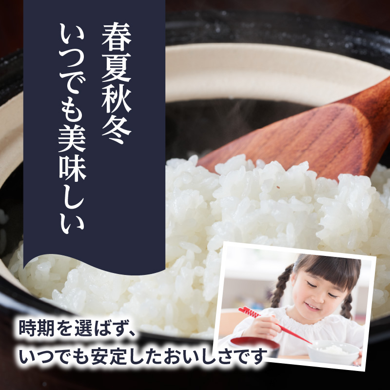 九州・福岡からお届け！ブランド米「元気つくし」定期便【全12回】＜配送不可：北海道・沖縄・離島＞