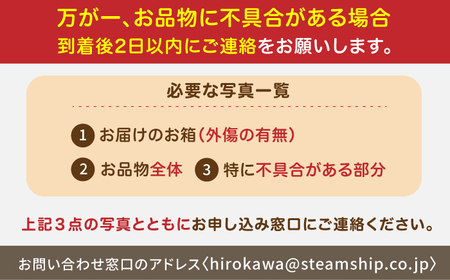 【先行予約 2025年2月より発送】 〈幻のイチゴ〉綾美姫270g×2  いちご 苺 果物 フルーツ 人気 希少 広川町 / 石川農園[AFCC001]