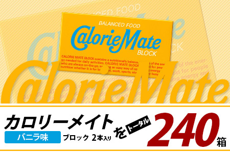 【12回定期便】≪バニラ味≫ カロリーメイトブロック 2本入り 計20箱 ×12回 合計240箱【定期便 徳島 那賀 大塚製薬 カロリーメイト バニラ ビタミン ミネラル たんぱく質 脂質 糖質 5大