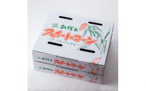 2024年発送 朝どれ！守部さんちのスイートコーン（ゴールドラッシュ）10kg（２２～３０本）　とうもろこし スイートコーン[E6410]