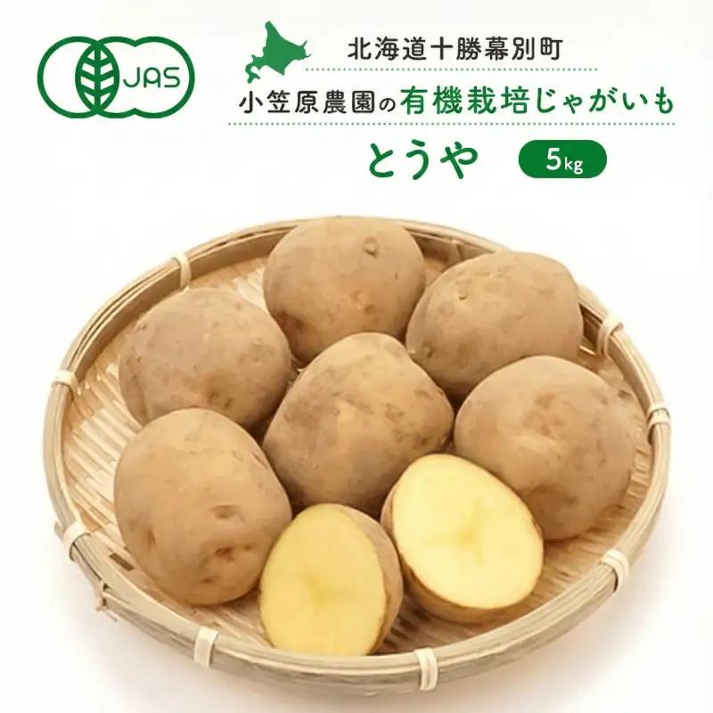 先行予約 有機じゃがいも 5kg とうや じゃがいも
