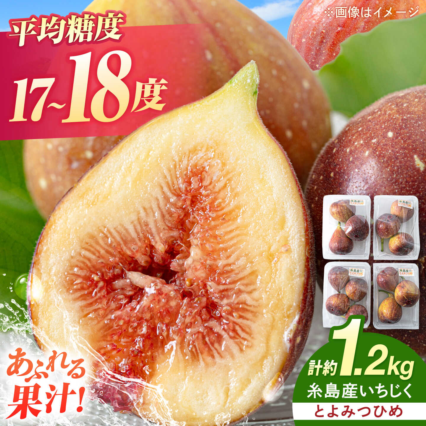 【ふるさと納税】糸島産 いちじく ( とよみつひめ ) 約1.2kg 3-5個 (約 300g ) 入り × 4パック / イチジク 無花果 / 糸島市 / 柴田青果園[ANQ003] 12000 1万2千円