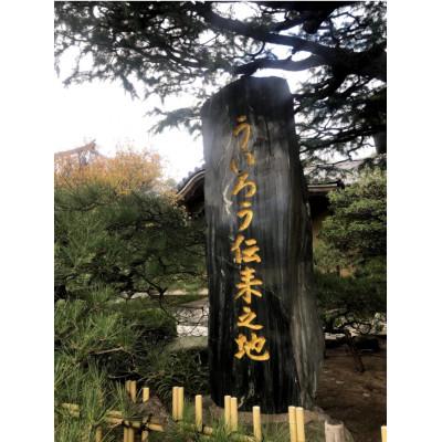 ふるさと納税 福岡市 博多ういろう定番6個入り・3個入り・博多ういろうあまおういちご3個入り　計3個 PZ04 |  | 03