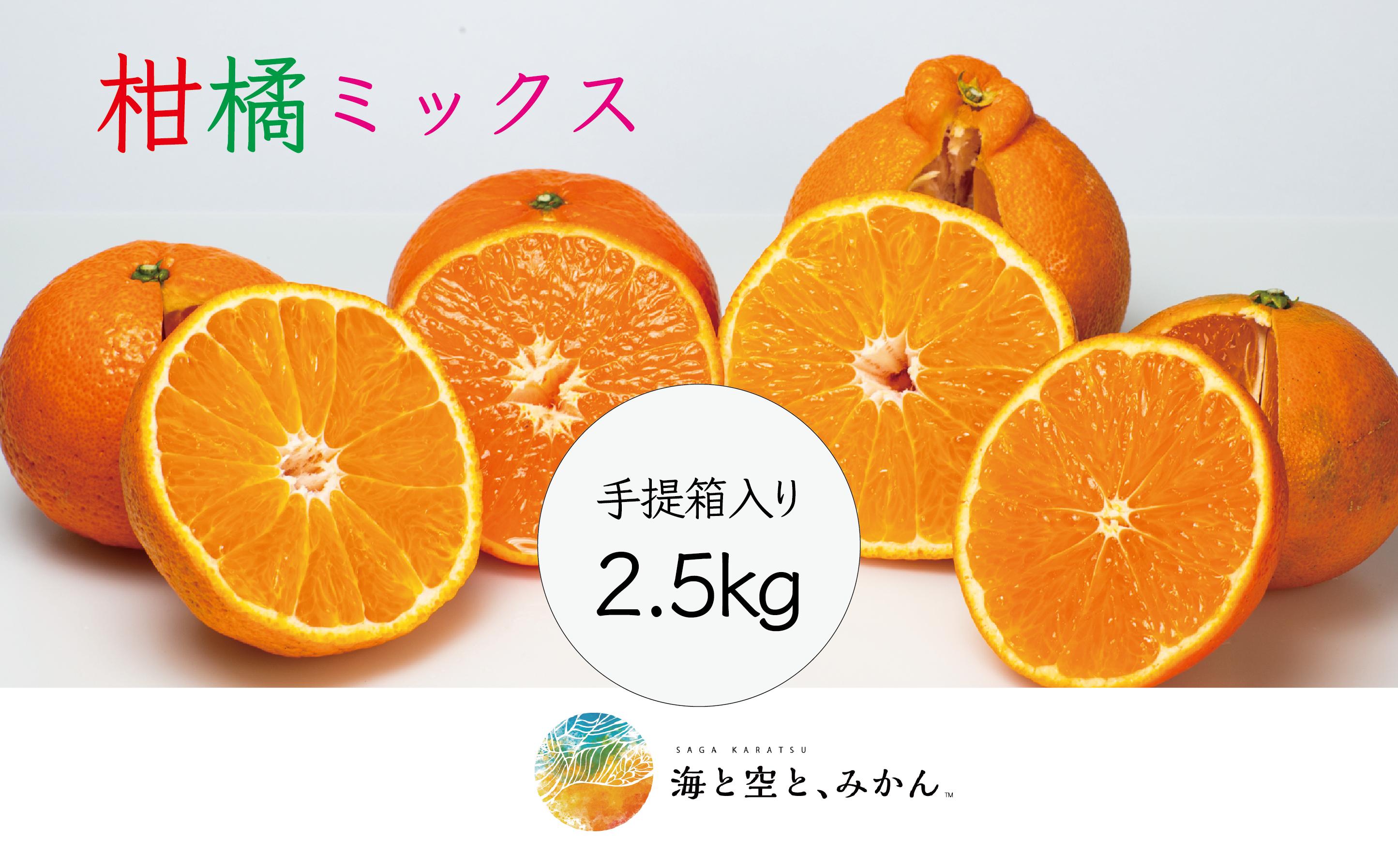 
            大場農園「柑橘MIXセット」2.5㎏ 手提げ箱入
          